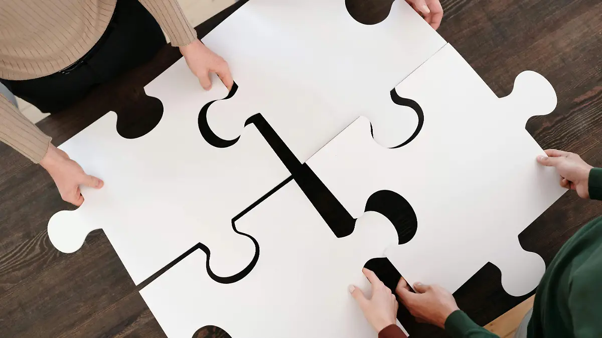 ROMPECABEZAS-JUGUETES-JUEGOS MENTALES