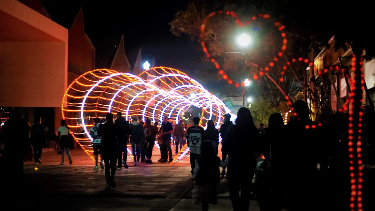 SOLTERO FEST-AMOR-PAREJAS