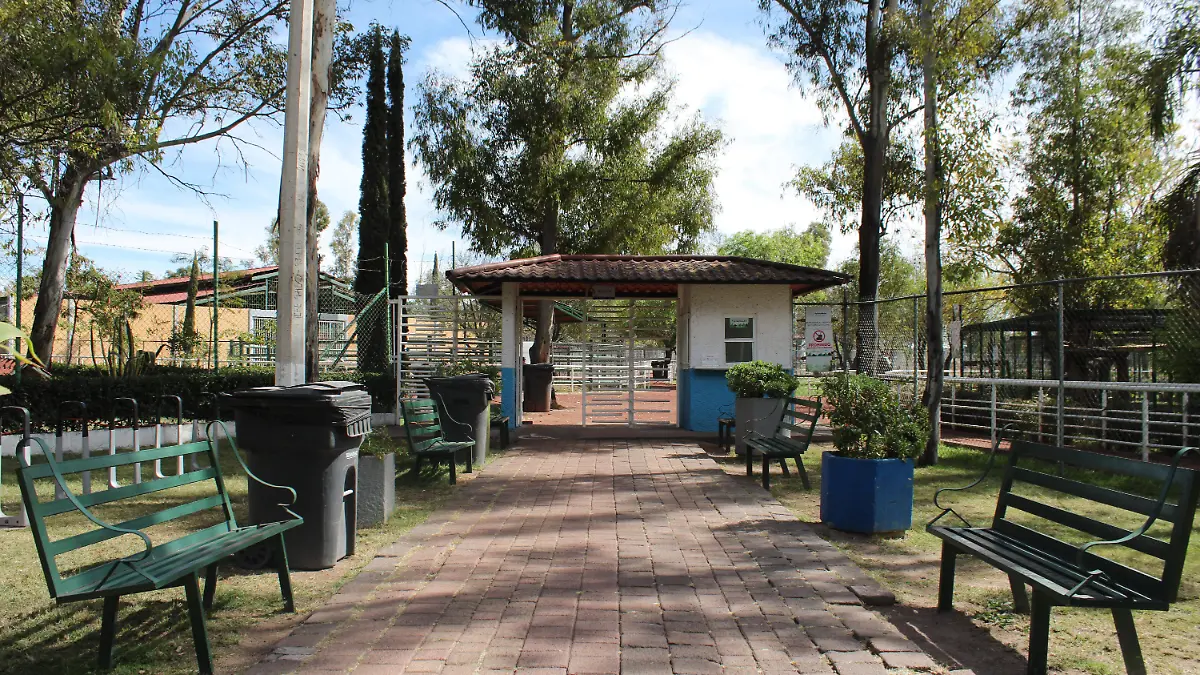 REFUGIO DE ANIMALES (1)