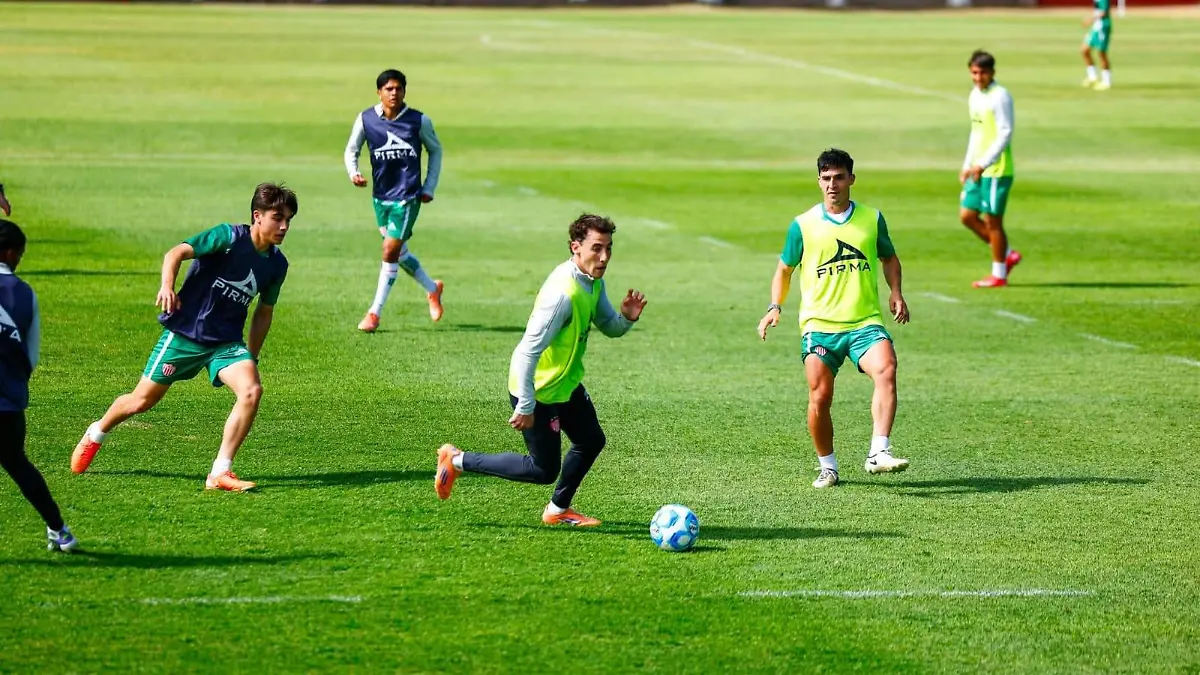 WhatsApp Image 2026-01-29 at 3.41.32 PM (1)