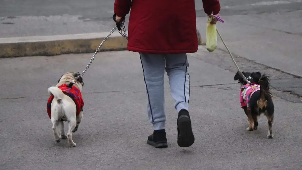 ROPA ABRIGADORA_BAJAS TEMPERATURAS_TIPS