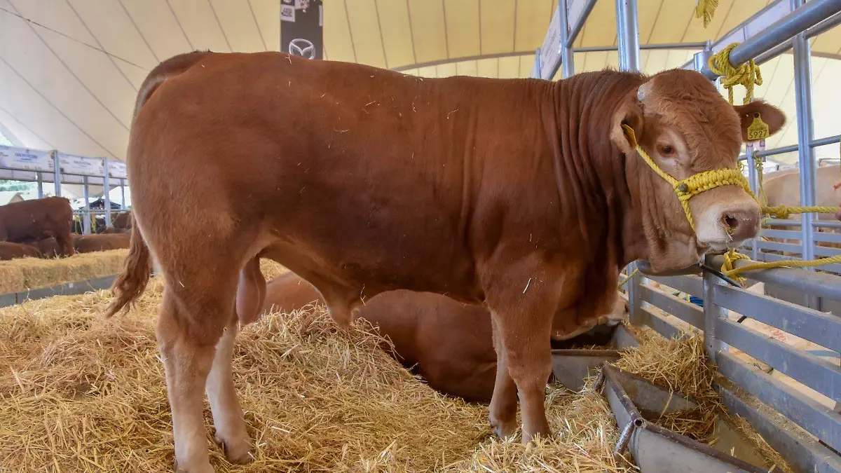 WhatsApp Image 2026-01-21 at 13.14.46