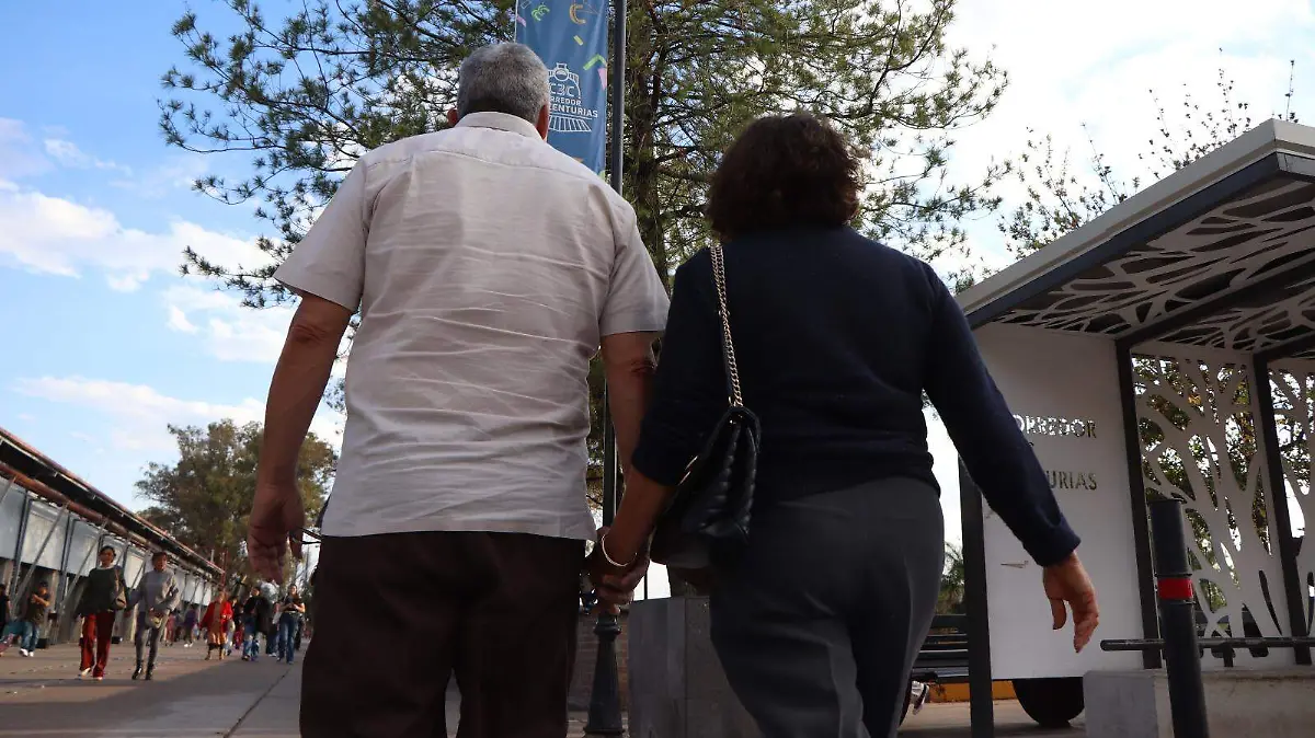 GESTACIÓN SUBROGADA-HIJOS-EMBARAZO