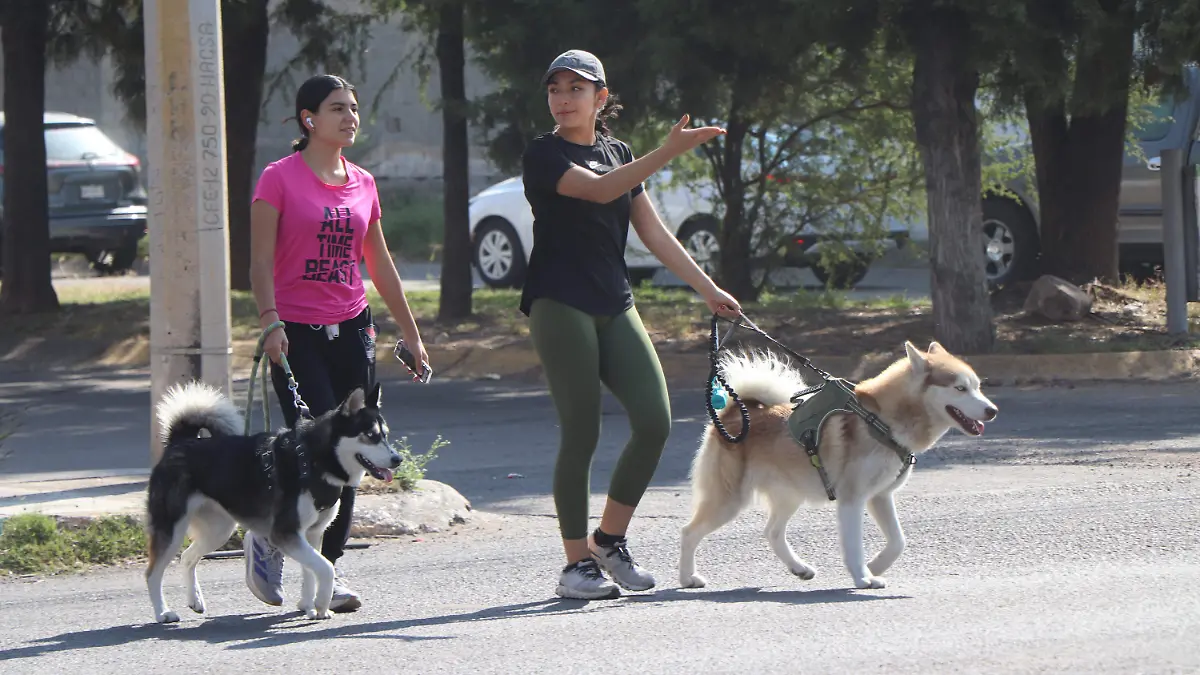 PROPOSITOS-AÑO NUEVO-EXITOS