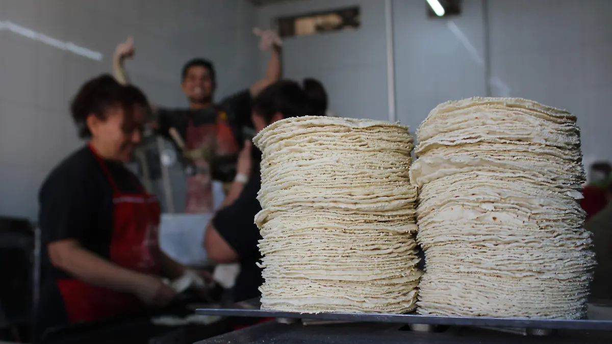 TORTILLERÍAS_INSIGNIAS_BENEFICIOS