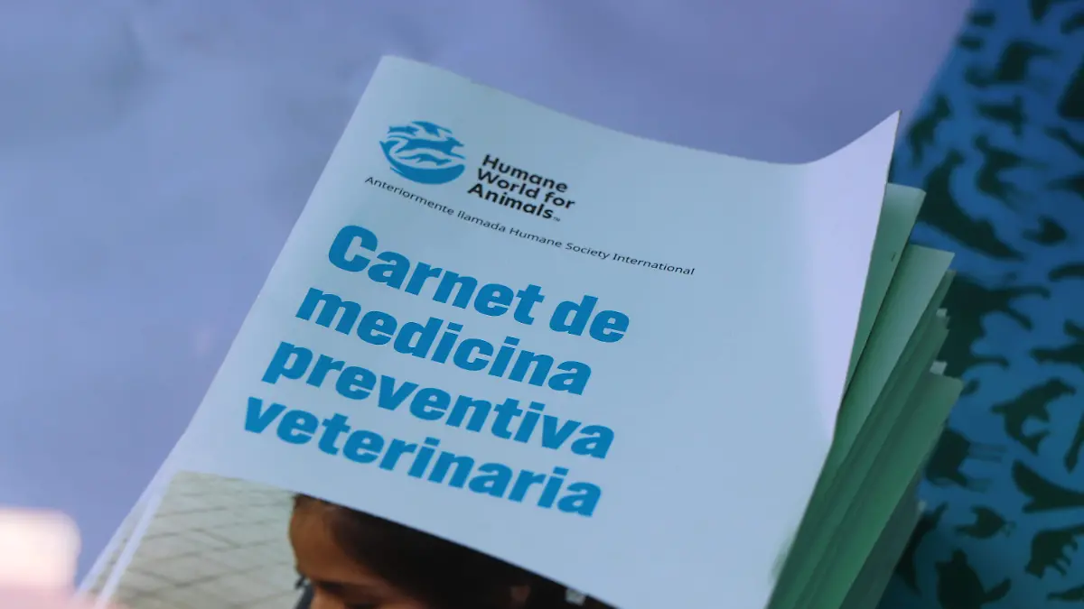 MURAL_BIENESTAR_ANIMAL_CONVIVENCIA