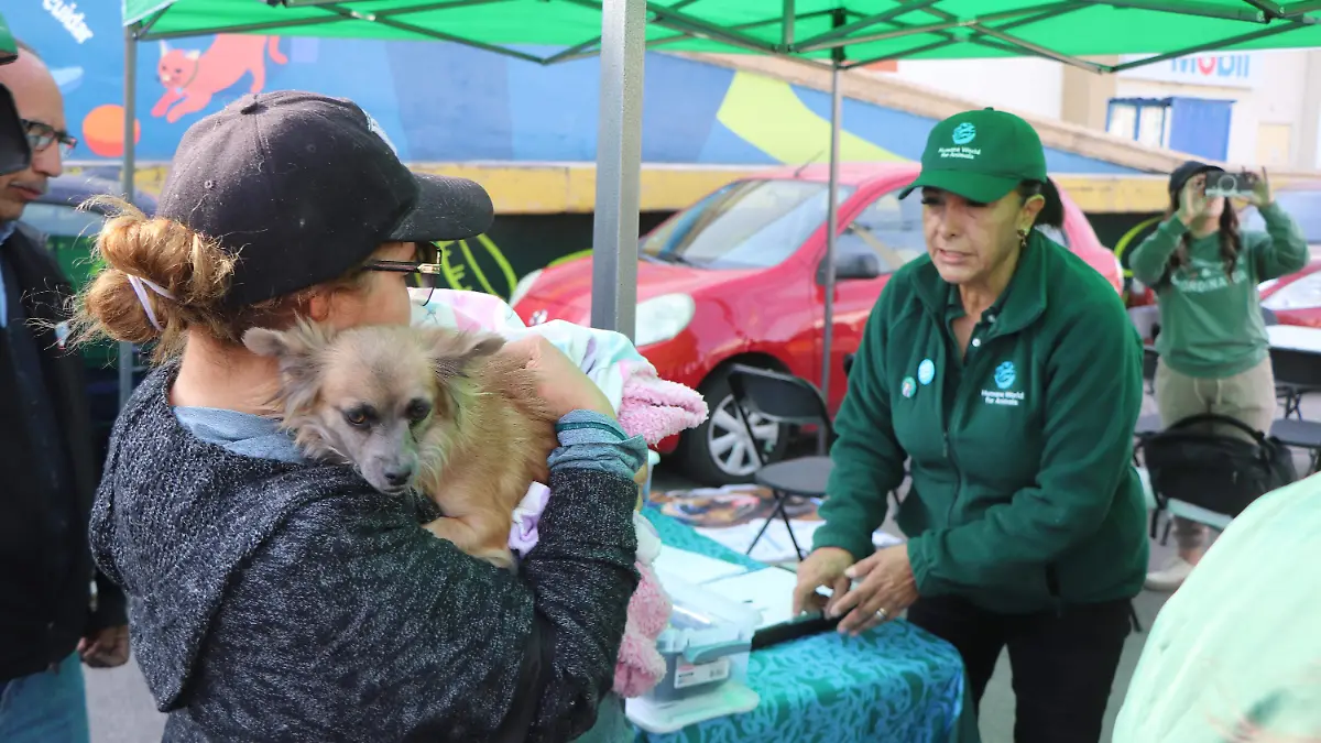 MURAL_BIENESTAR_ANIMAL_CONVIVENCIA