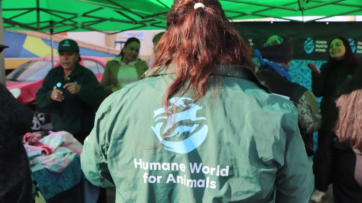 MURAL_BIENESTAR_ANIMAL_CONVIVENCIA