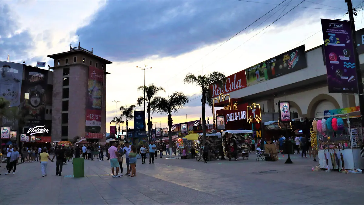 HOTELES RUTA DEL VINO TOROS FNSM (1)