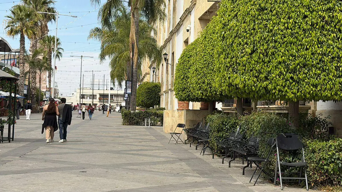 FILA DE APARTADO_PALENQUE DE LA FERIA DE SAN MARCOS