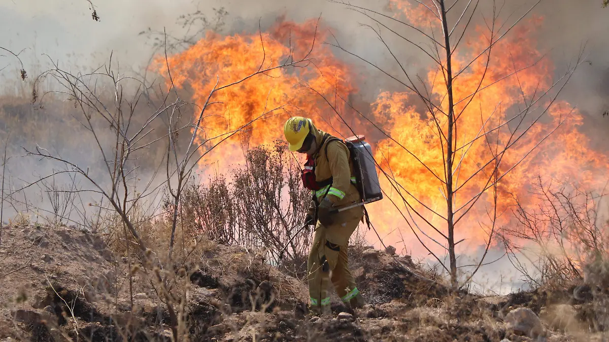 INCENDIOS_FUEGO_LLAMAS_BOMBEROS