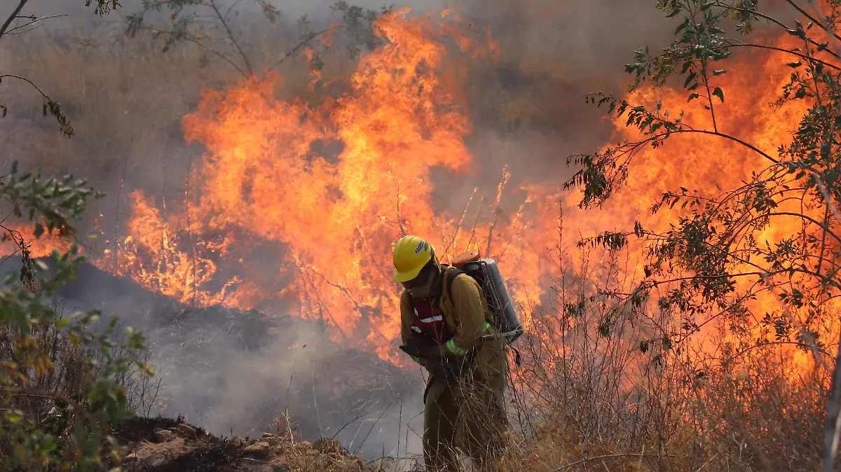 INCENDIO-SOFOCADO-AGS