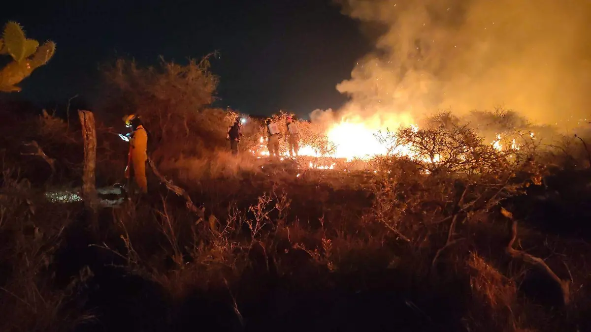 SEGUIMIENTO INCENDIO (1)