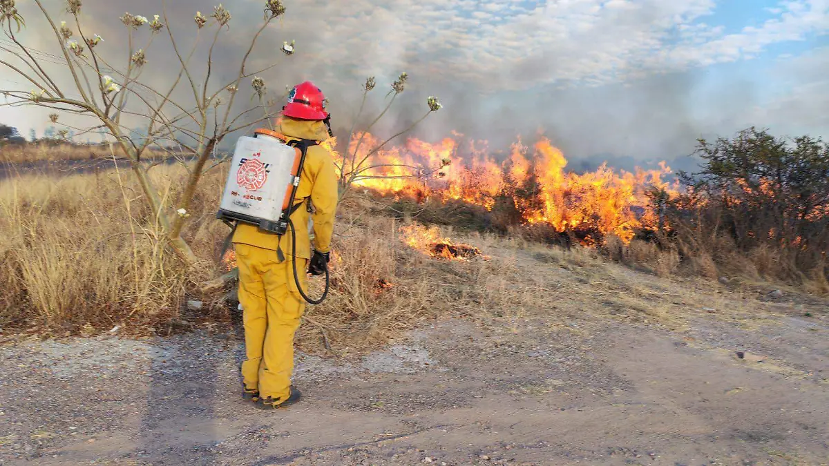 SEGUIMIENTO INCENDIO_PASTIZALES_BOMBEROS