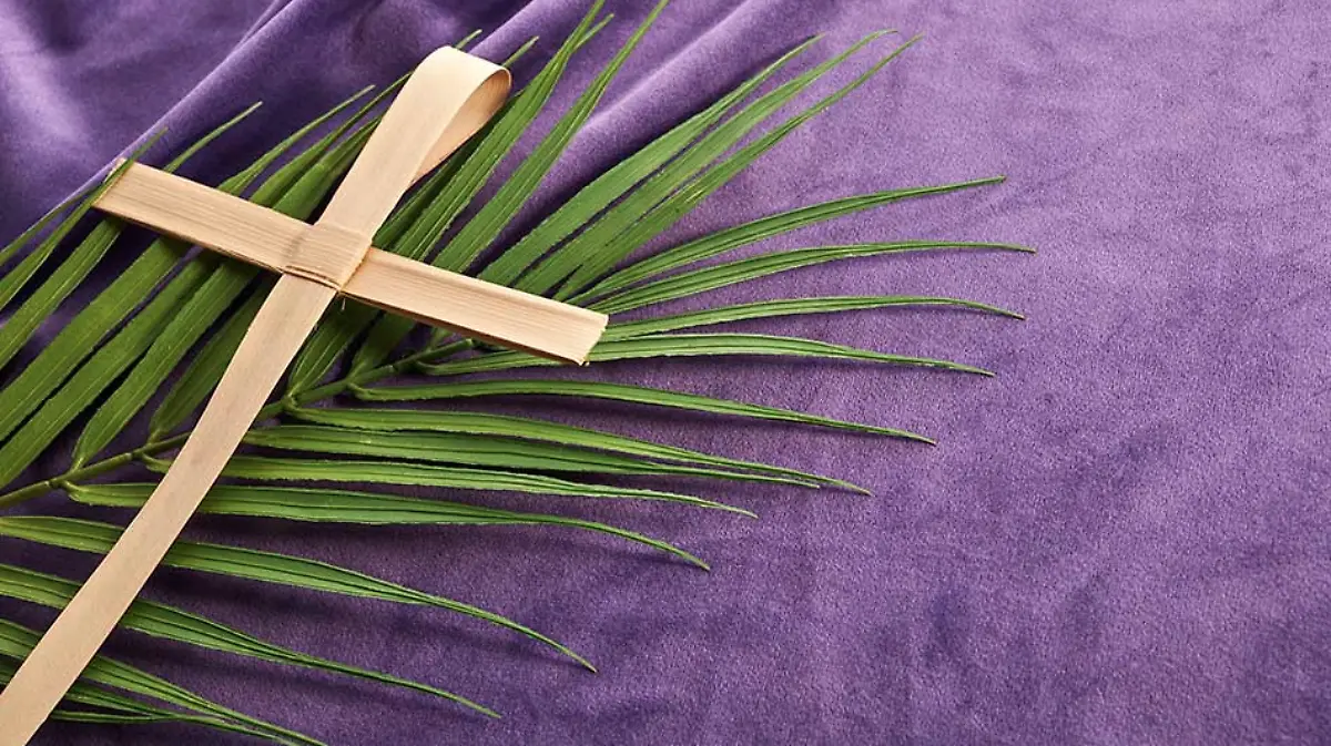 Captura de pantalla 2026-02-10 a la(s) 13.25.48