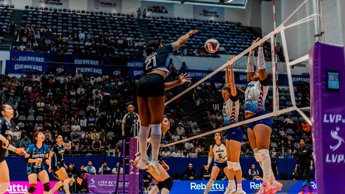 WhatsApp Image 2026-02-10 at 5.39.34 PM