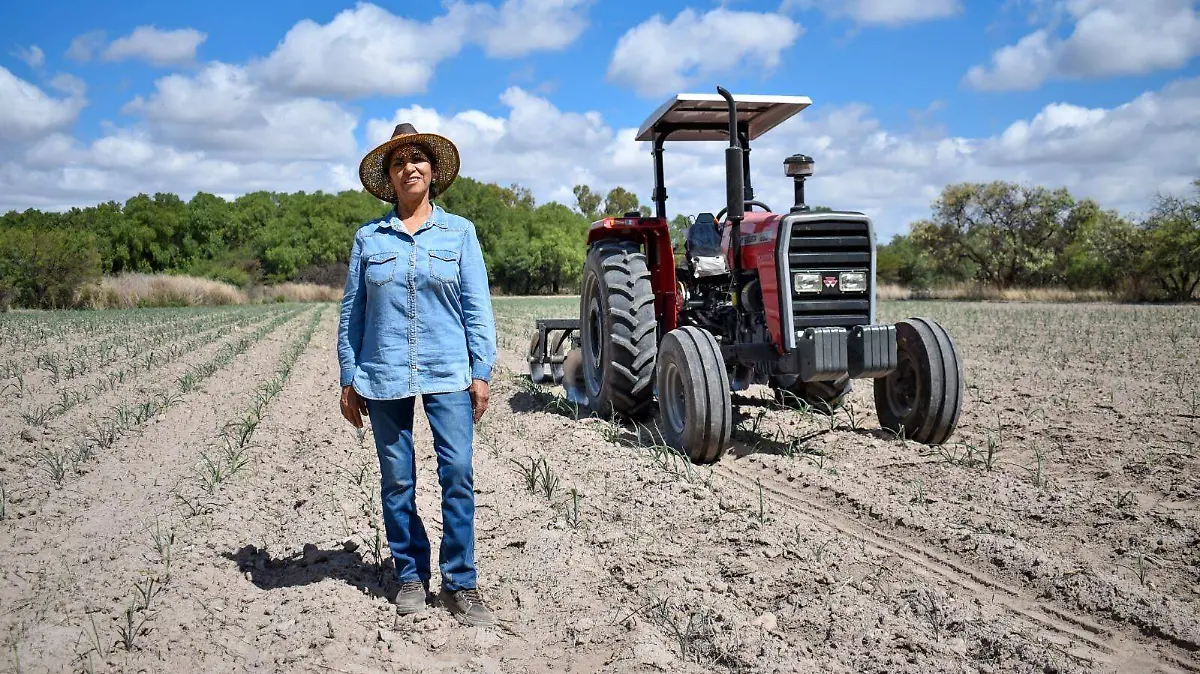 APOYOS-PRODUCTORES-PROGRAMAS
