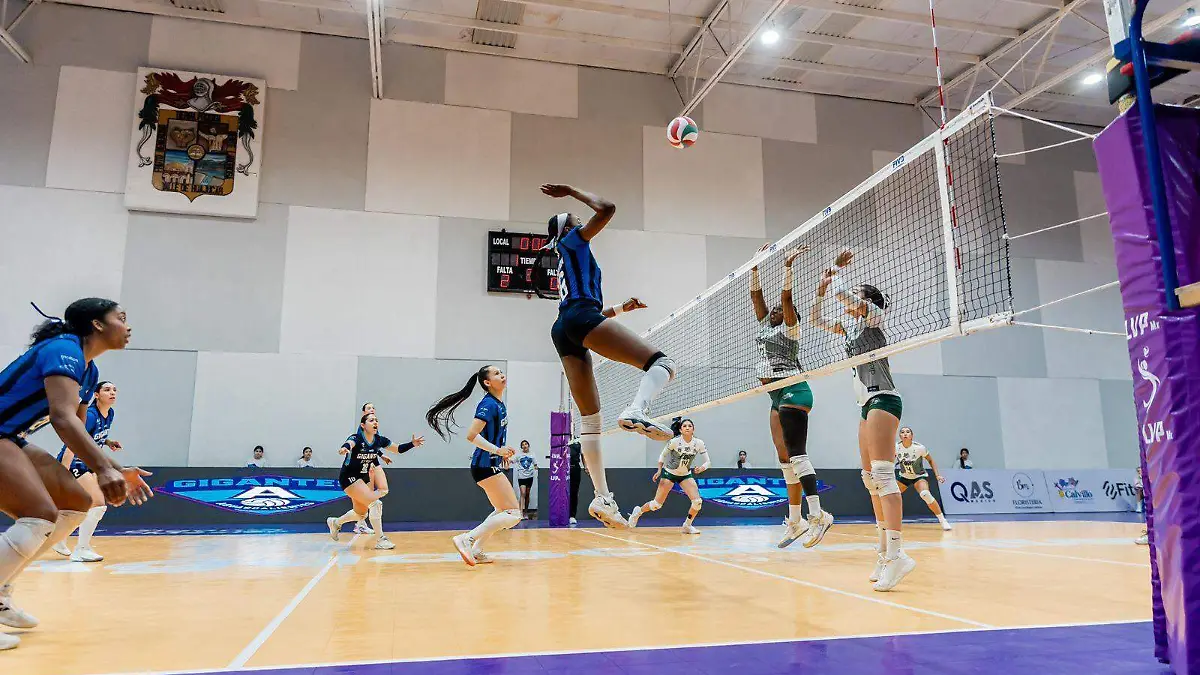 WhatsApp Image 2026-02-14 at 9.30.32 PM