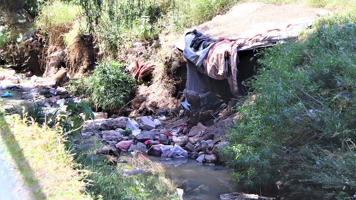 ¡Alerta en el Campo! Peligro Oculto y Oportunidades en el Horizonte