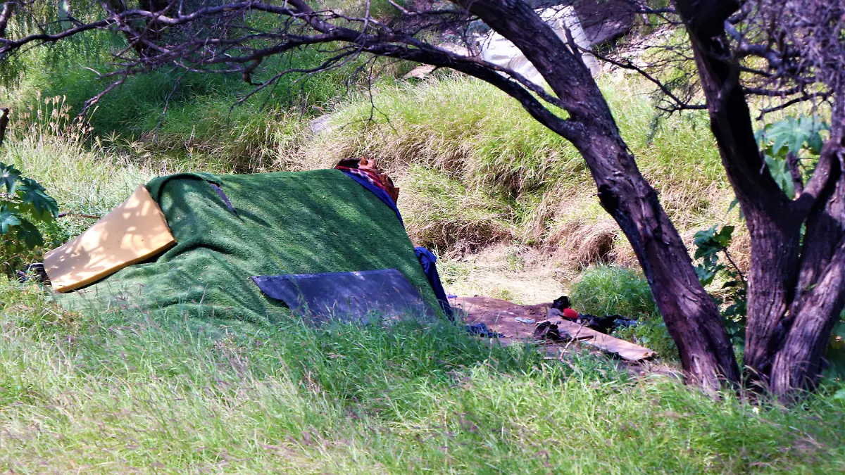 COLECTOR PLUVIAL-INDIGENTES-REPORTES