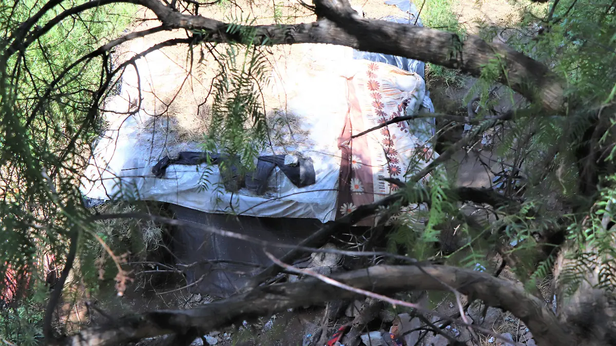 COLECTOR PLUVIAL-INDIGENTES-REPORTES