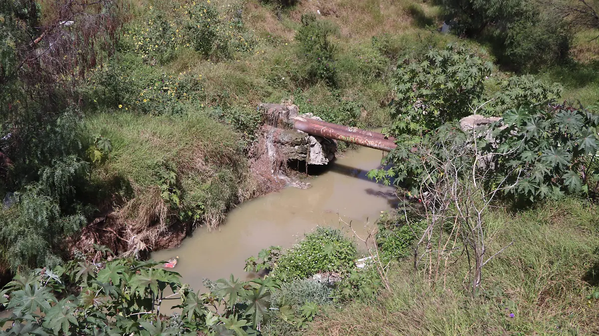 COLECTOR PLUVIAL-INDIGENTES-REPORTES