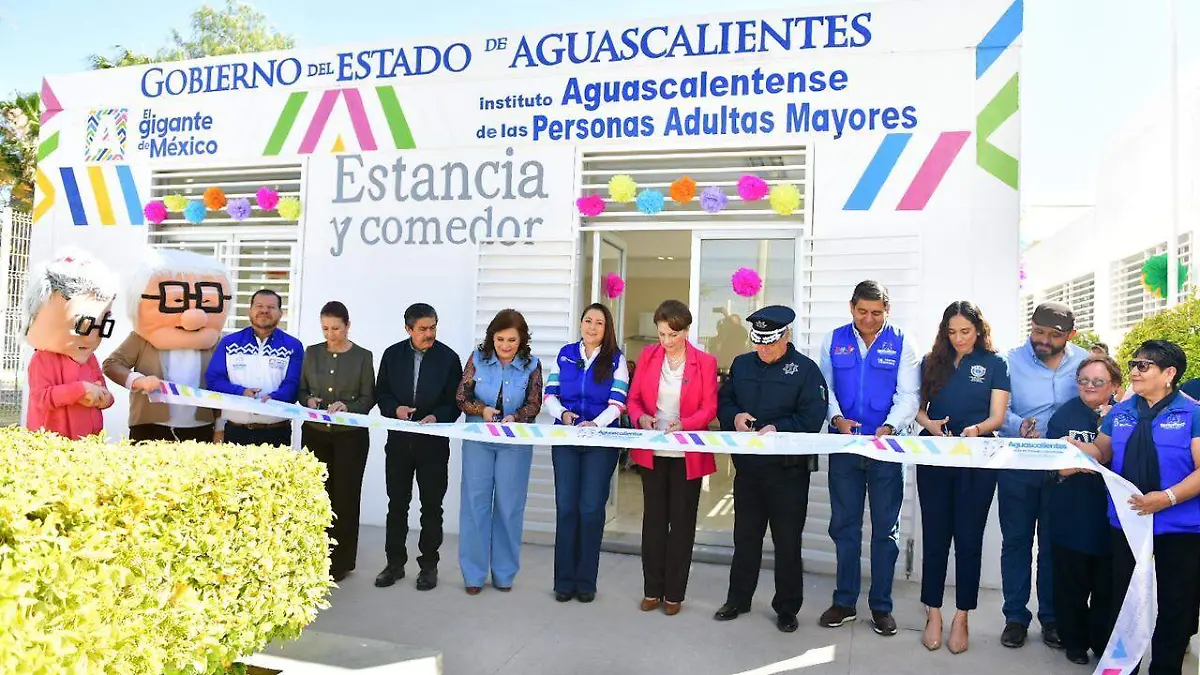 WhatsApp Image 2026-02-14 at 12.23.50 PM