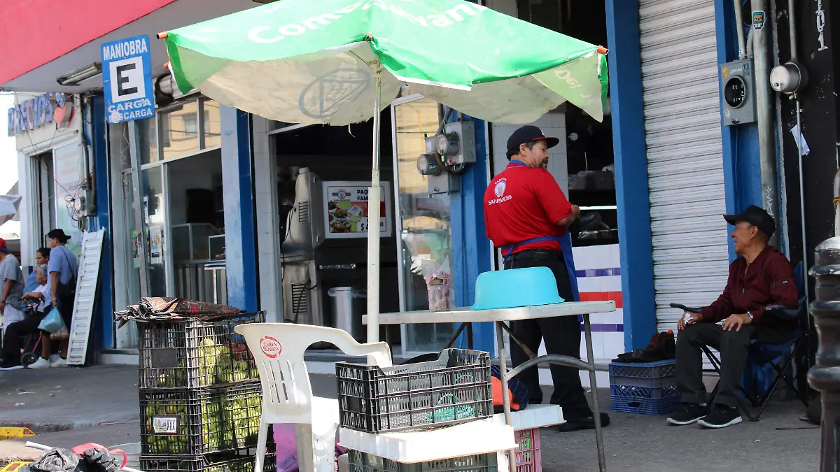 TRABAJADORES INFORMALES (2)