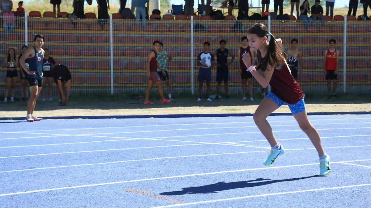 WhatsApp Image 2026-02-16 at 1.37.15 PM (1)