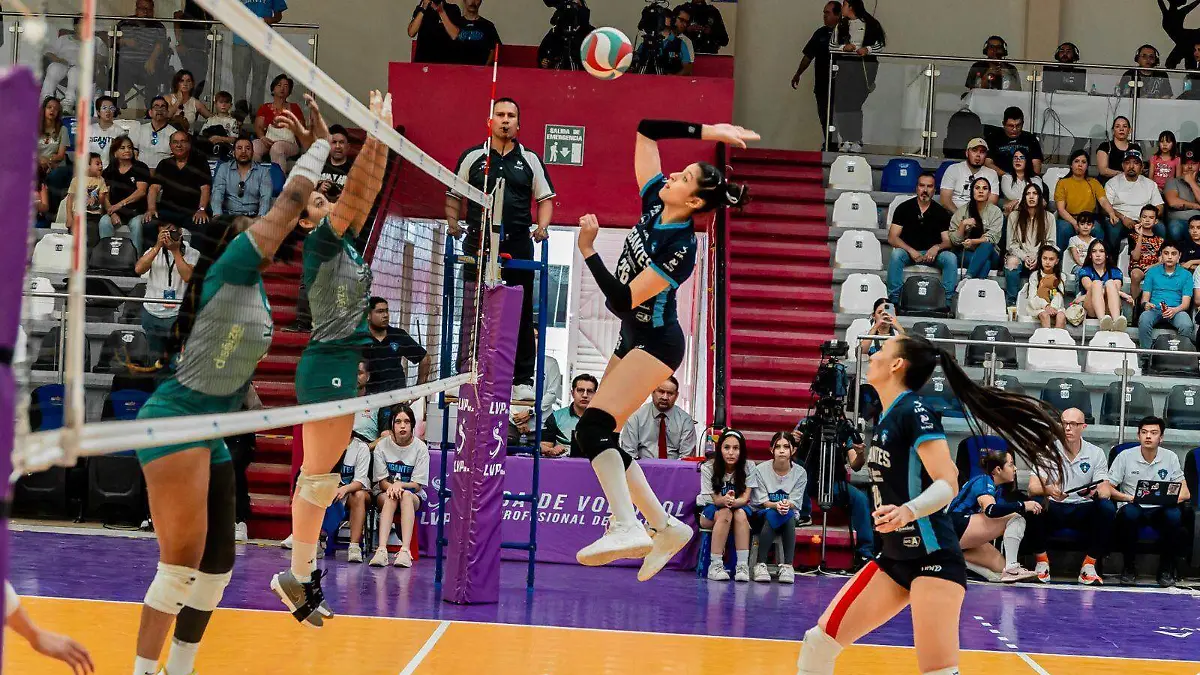 WhatsApp Image 2026-02-15 at 5.25.40 PM