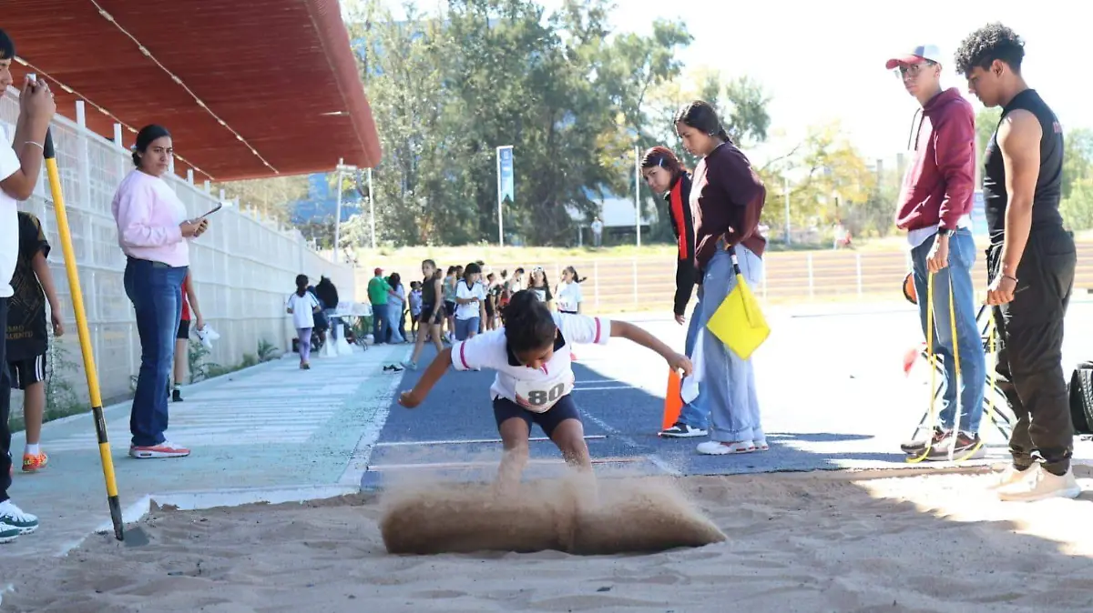 IDEA-CLASIFICACIÓN-NACIONAL