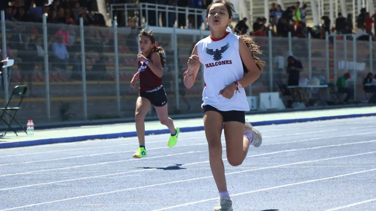 IDEA-CLASIFICACIÓN-NACIONAL