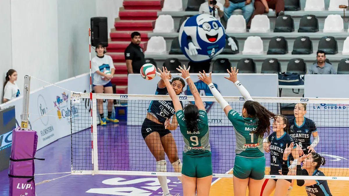 LIMPIA-GIGANTES-CALVILLO 