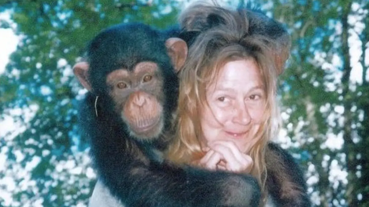 Captura de pantalla 2026-02-16 a la(s) 15.53.01