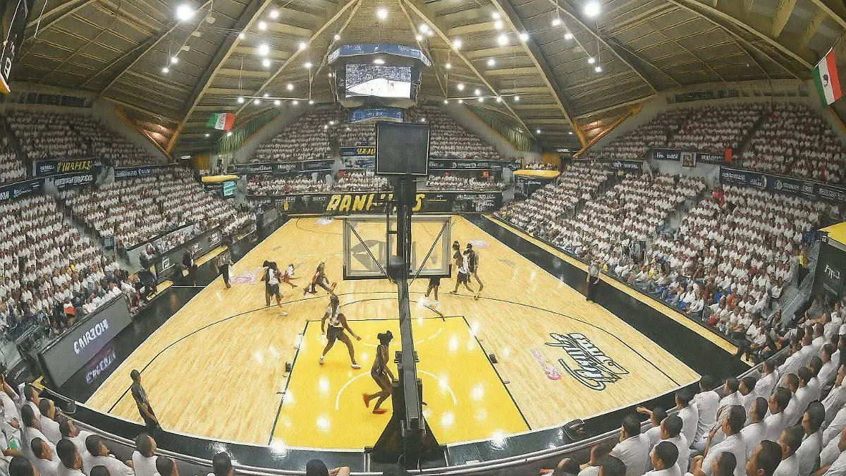 WhatsApp Image 2026-02-17 at 3.33.51 PM