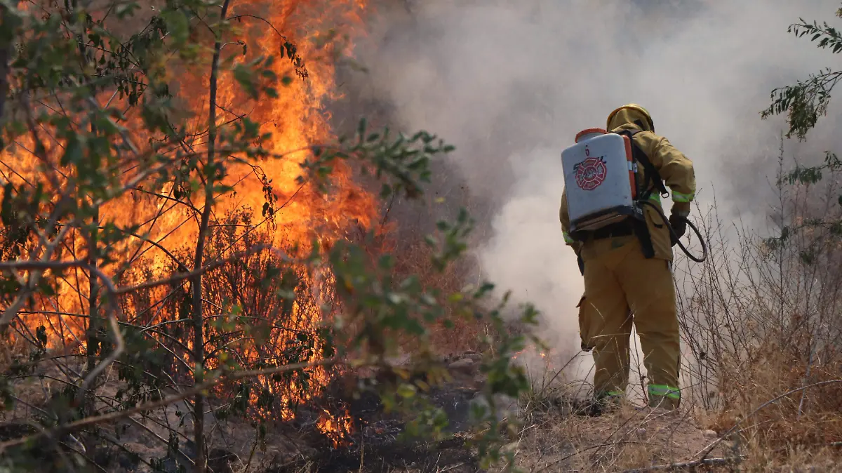 BOMBEROS UNIDADES DE BOMBEROS (10)