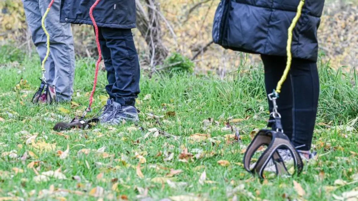 Captura de pantalla 2026-02-19 a la(s) 15.40.35