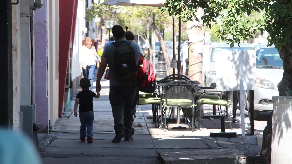 CUMPLIMIENTO, PADRES, MADRES, PENSIONES ALIMENTICIAS (1)