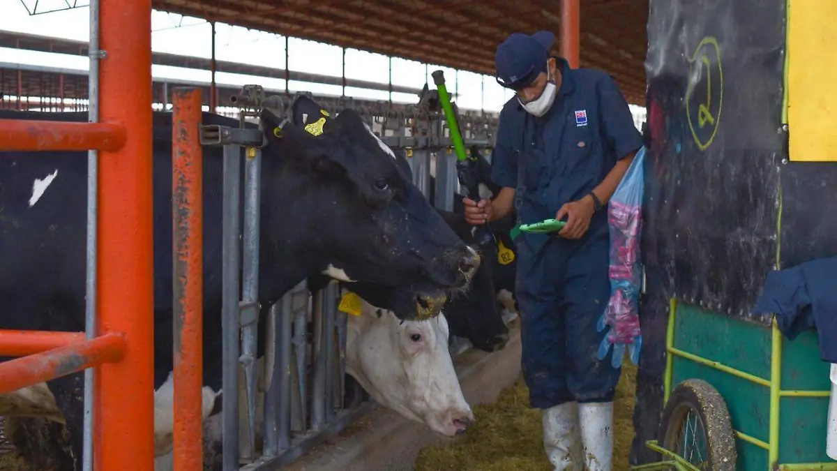 WhatsApp Image 2026-01-29 at 13.54.51 (1)