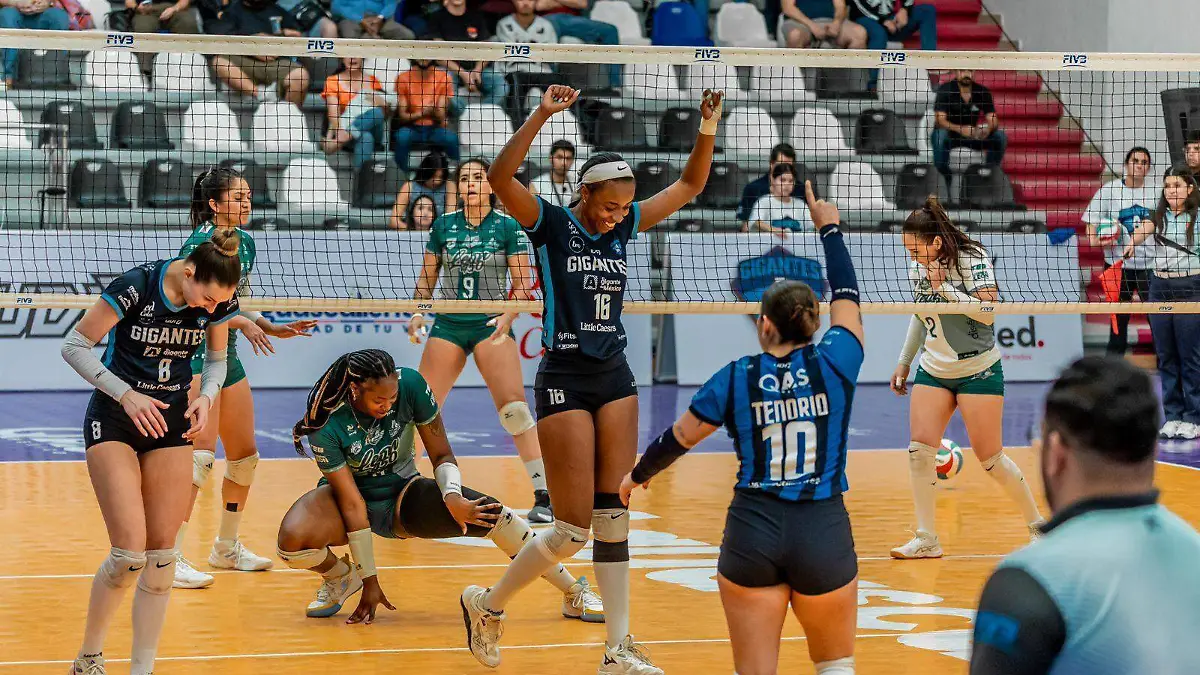 WhatsApp Image 2026-02-15 at 5.25.39 PM