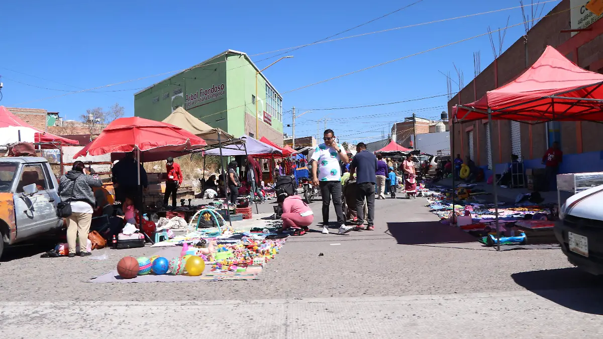 TIANGUIS-60-AGS