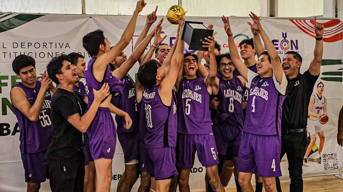 WhatsApp Image 2026-02-25 at 3.35.30 PM