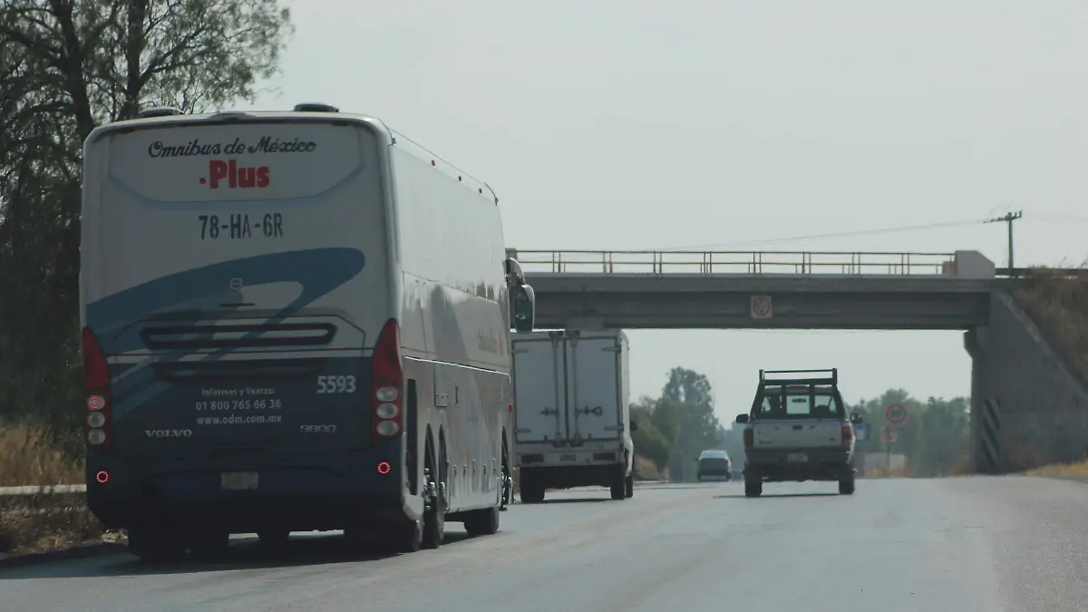 AUTOBUSES FORÁNEOS (1)