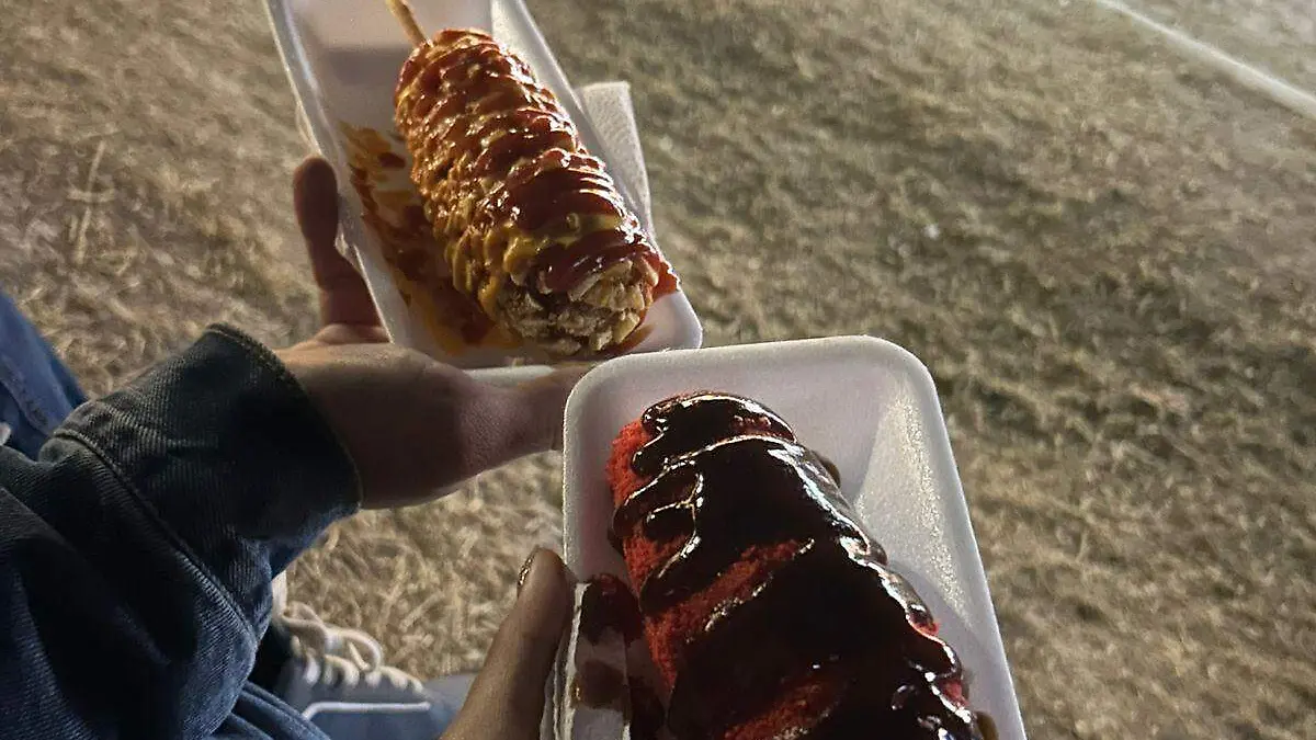 MARKET-NOCTURNO-BOSQUE