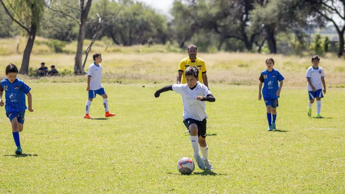 WhatsApp Image 2026-02-27 at 3.06.37 PM