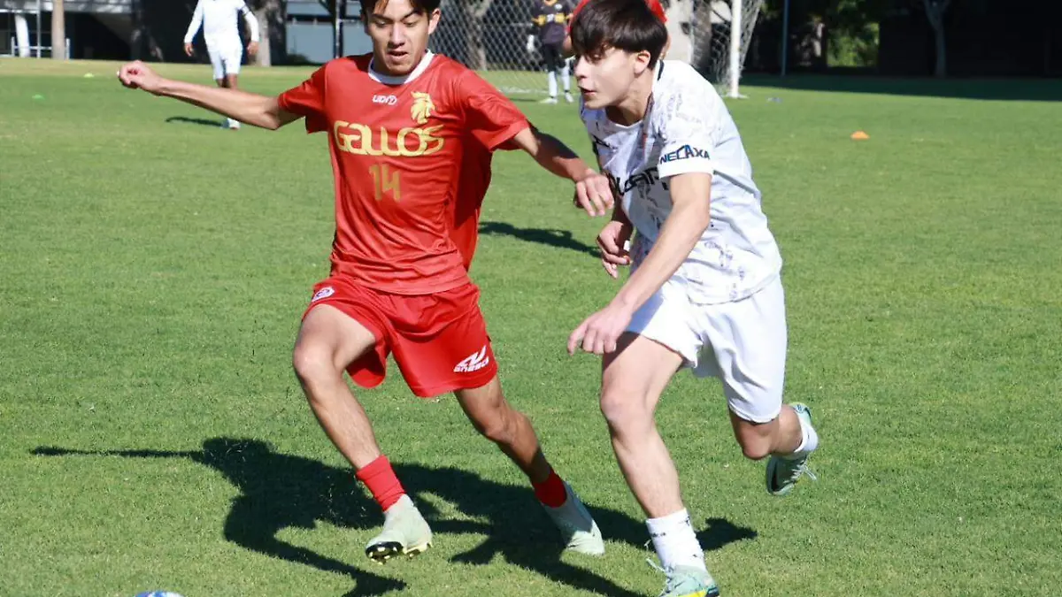 WhatsApp Image 2026-02-28 at 5.21.18 PM