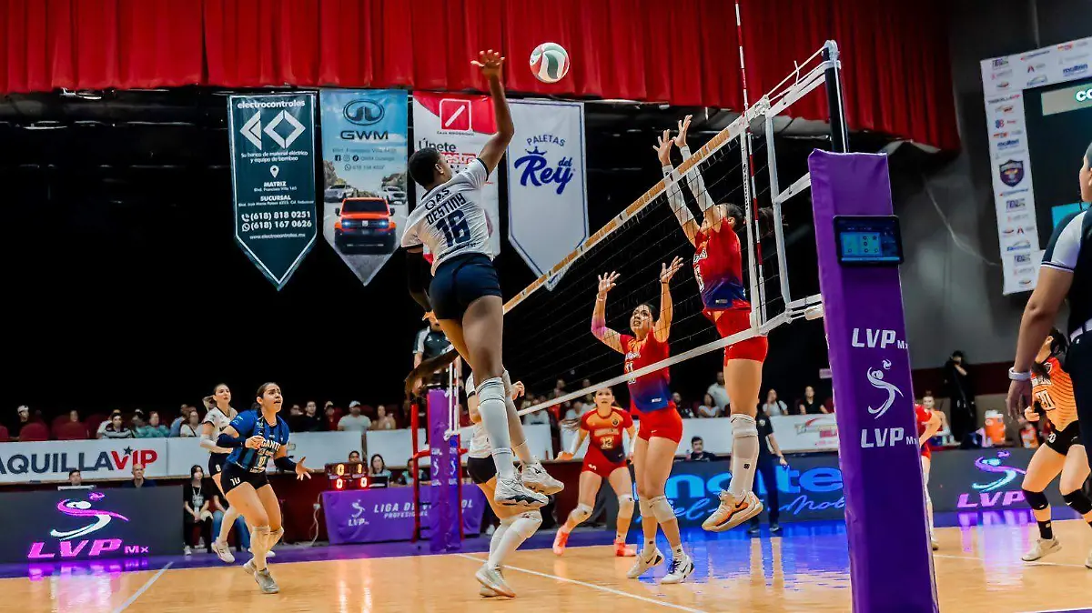 WhatsApp Image 2026-03-01 at 6.03.55 PM