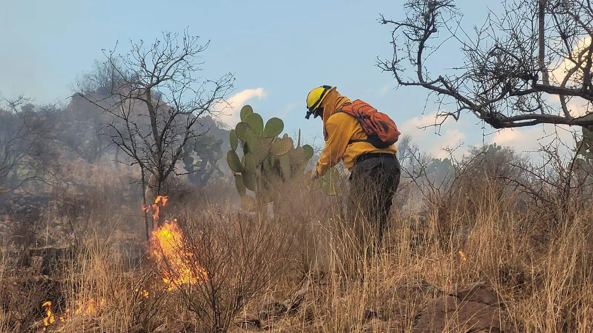 INCENDIO-CERRO DEL MUERTO-BOMBEROS