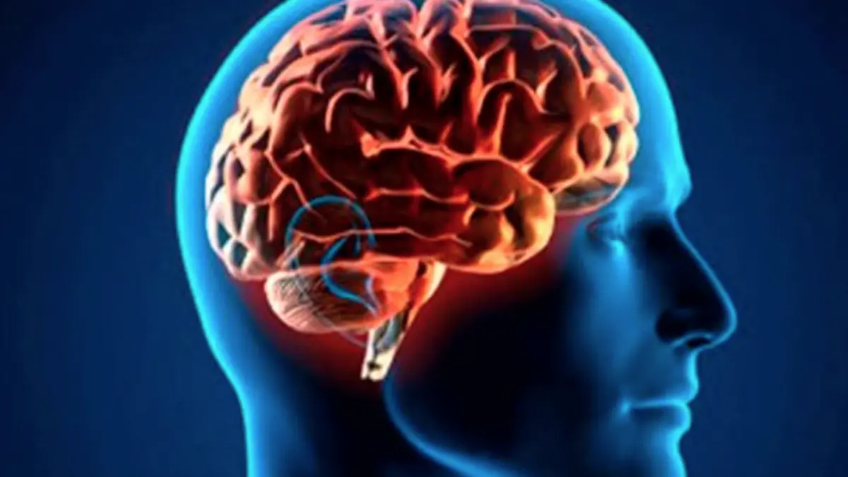 COSQUILLAS-RISA-CUERPO