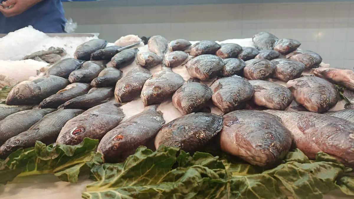 MARISCOS-PESCADOS-VENTAS